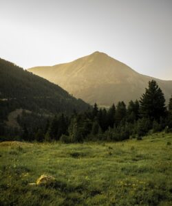 mountains, forest, landscape, trees, field, nature, meadow, woods, scenic, sunset, sunrise, forest, forest, field, field, field, field, field, meadow, sunrise